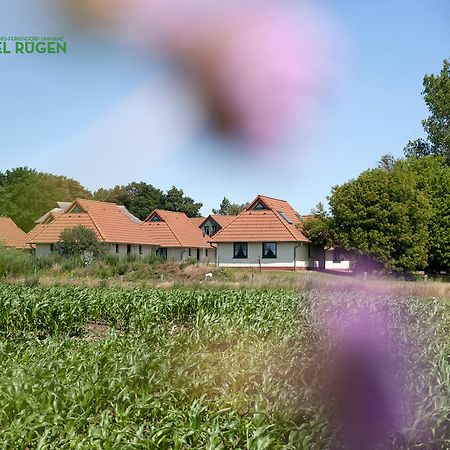 Jugendtours-Feriendorf Ummanz Экстерьер фото