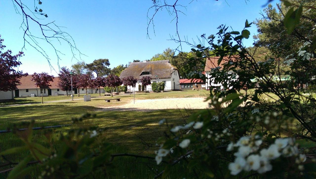 Jugendtours-Feriendorf Ummanz Экстерьер фото