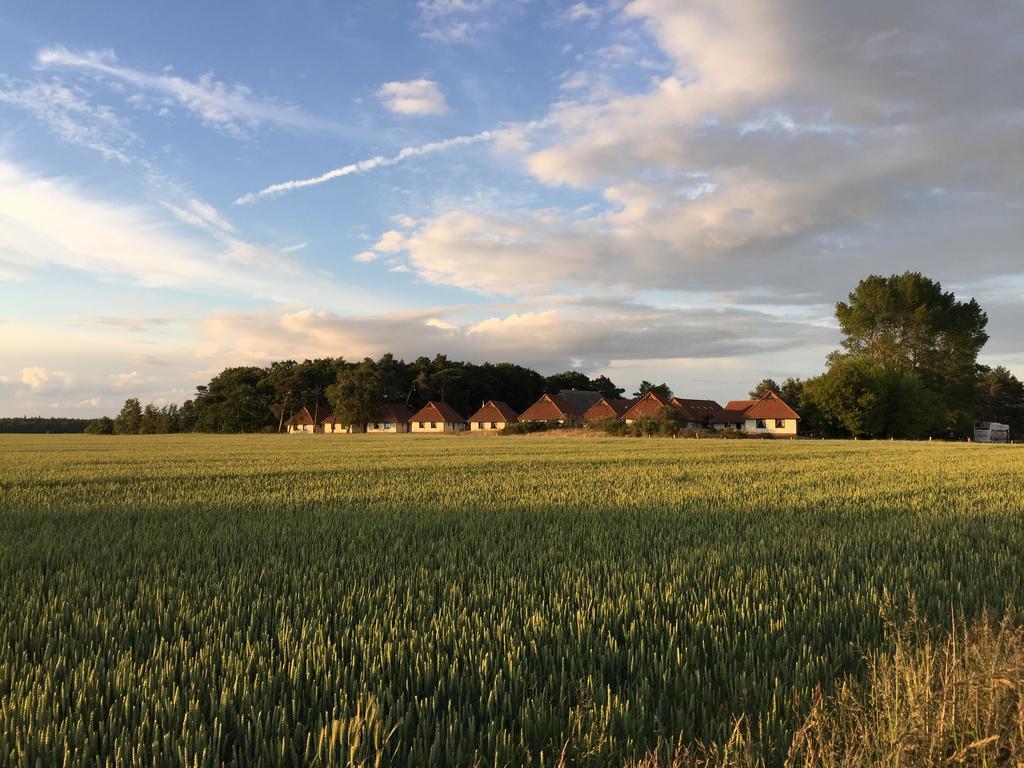Jugendtours-Feriendorf Ummanz Экстерьер фото